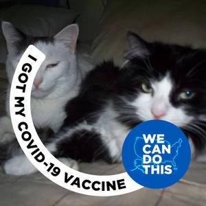 Meet your Posher, Trish